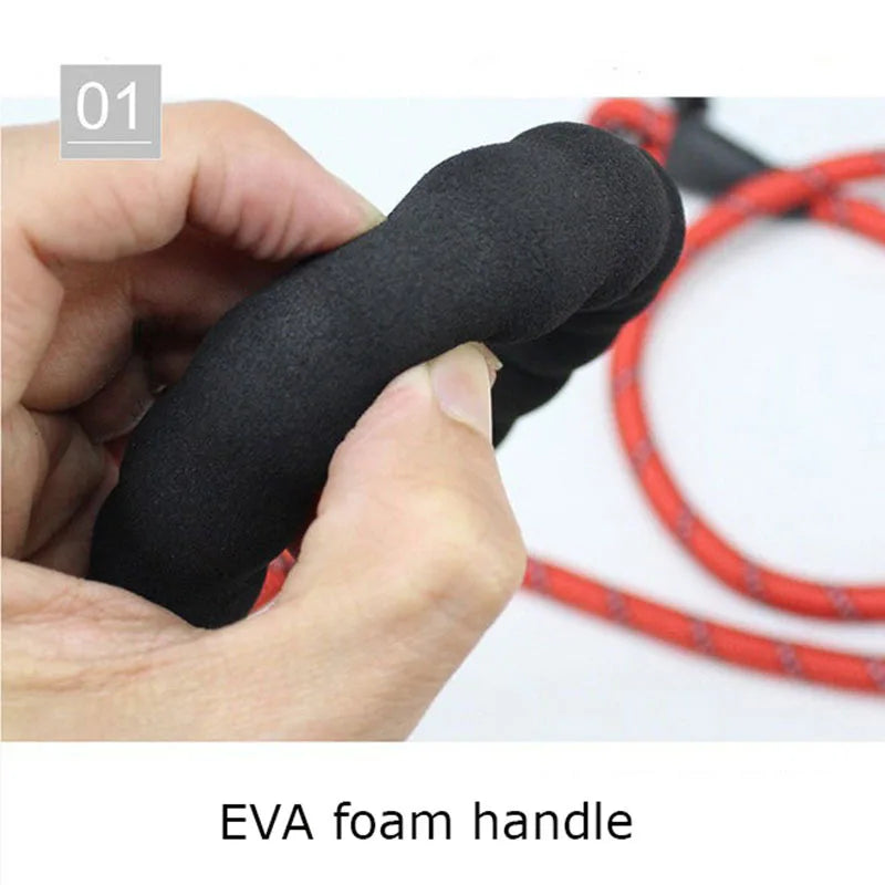 π Ultra-Comfort Padded Handle Dog Leash (1.5m, 2m, 3m)