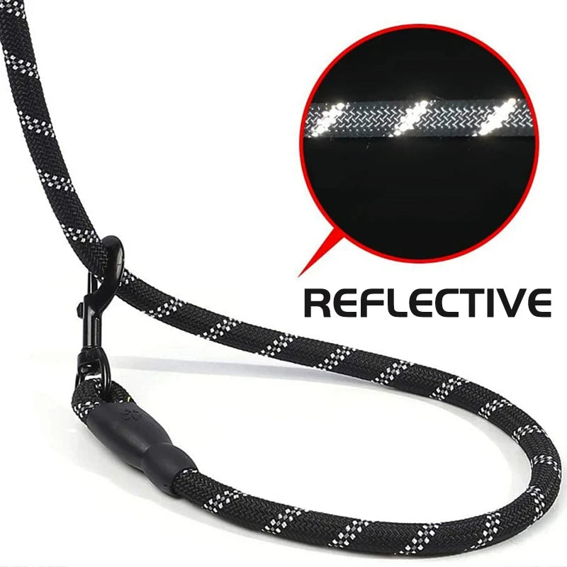 ๐ Ultra-Comfort Padded Handle Dog Leash (1.5m, 2m, 3m)