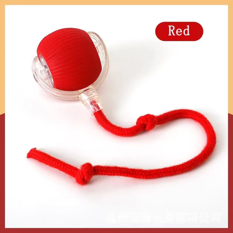 Interactive Motion Pet Ball Toy with Tail