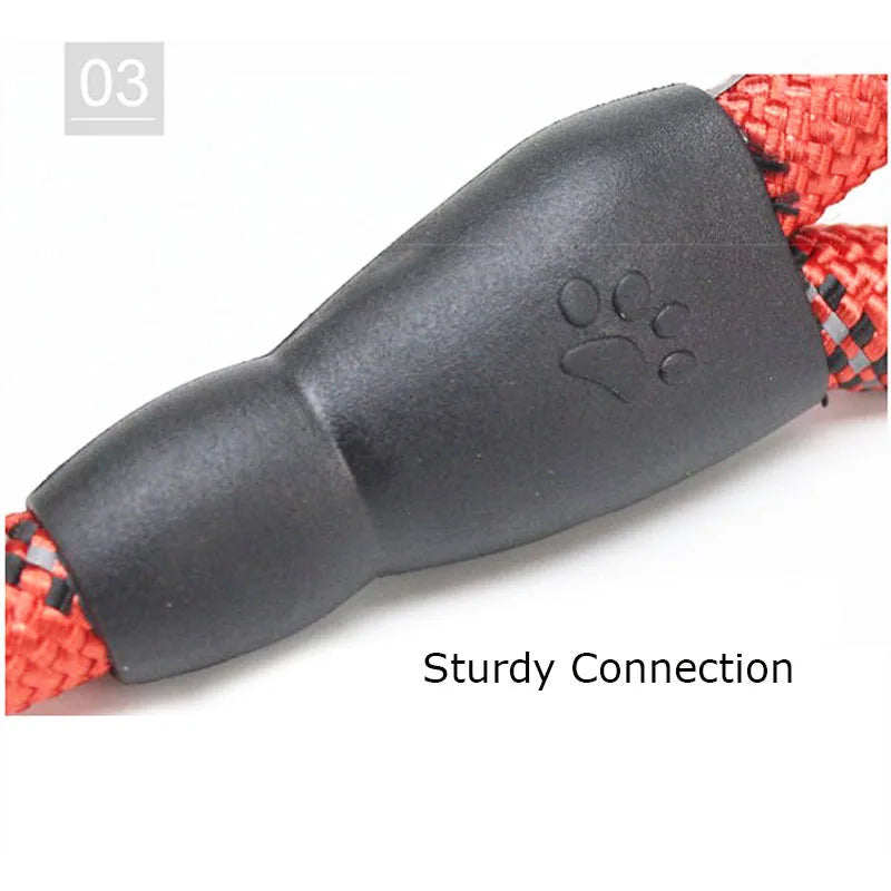 π Ultra-Comfort Padded Handle Dog Leash (1.5m, 2m, 3m)