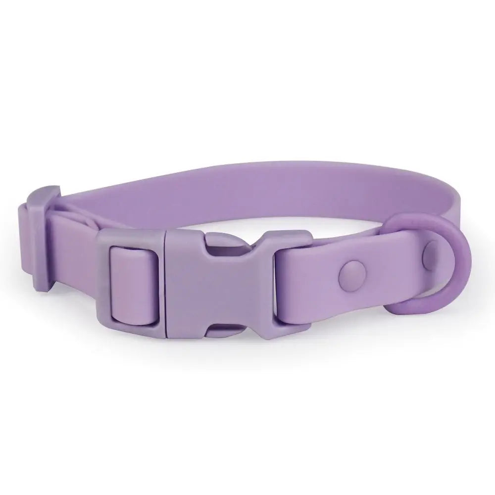 Colourful Waterproof Dog Collar