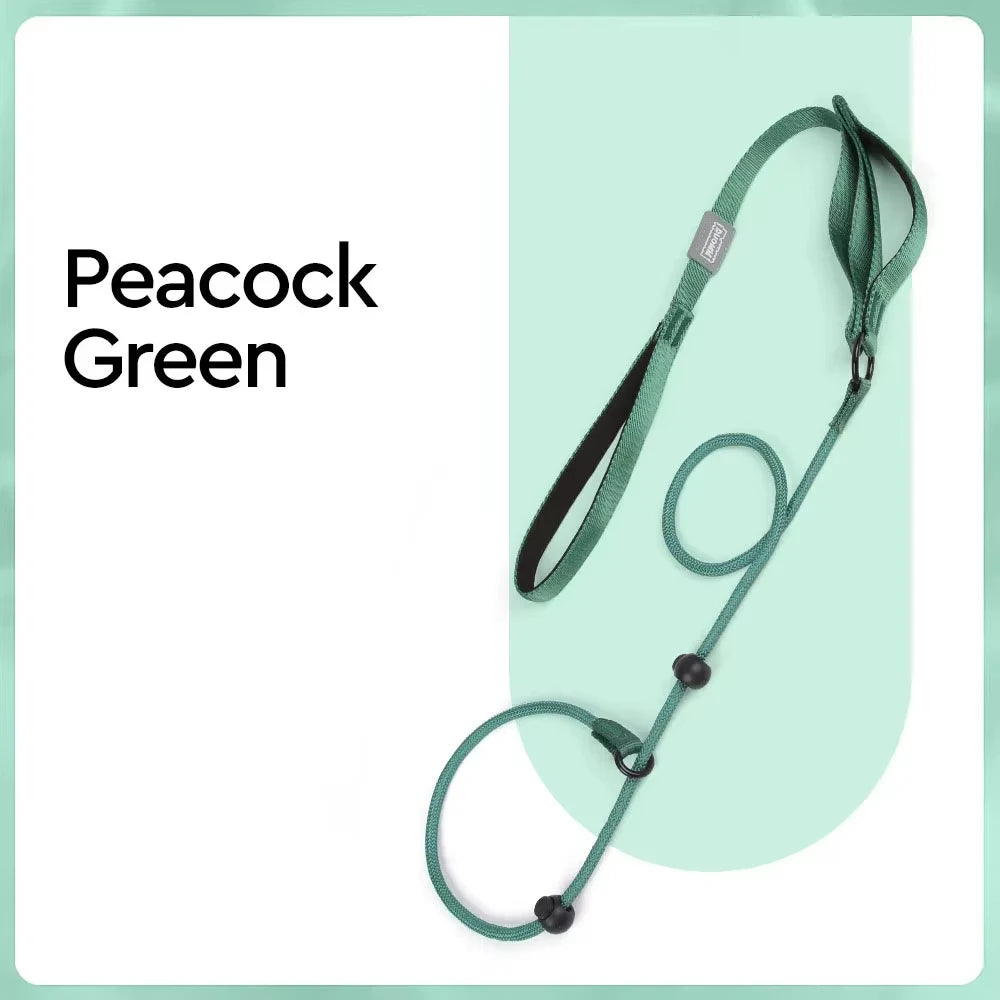 🐕 Professional Training Slip-Leash