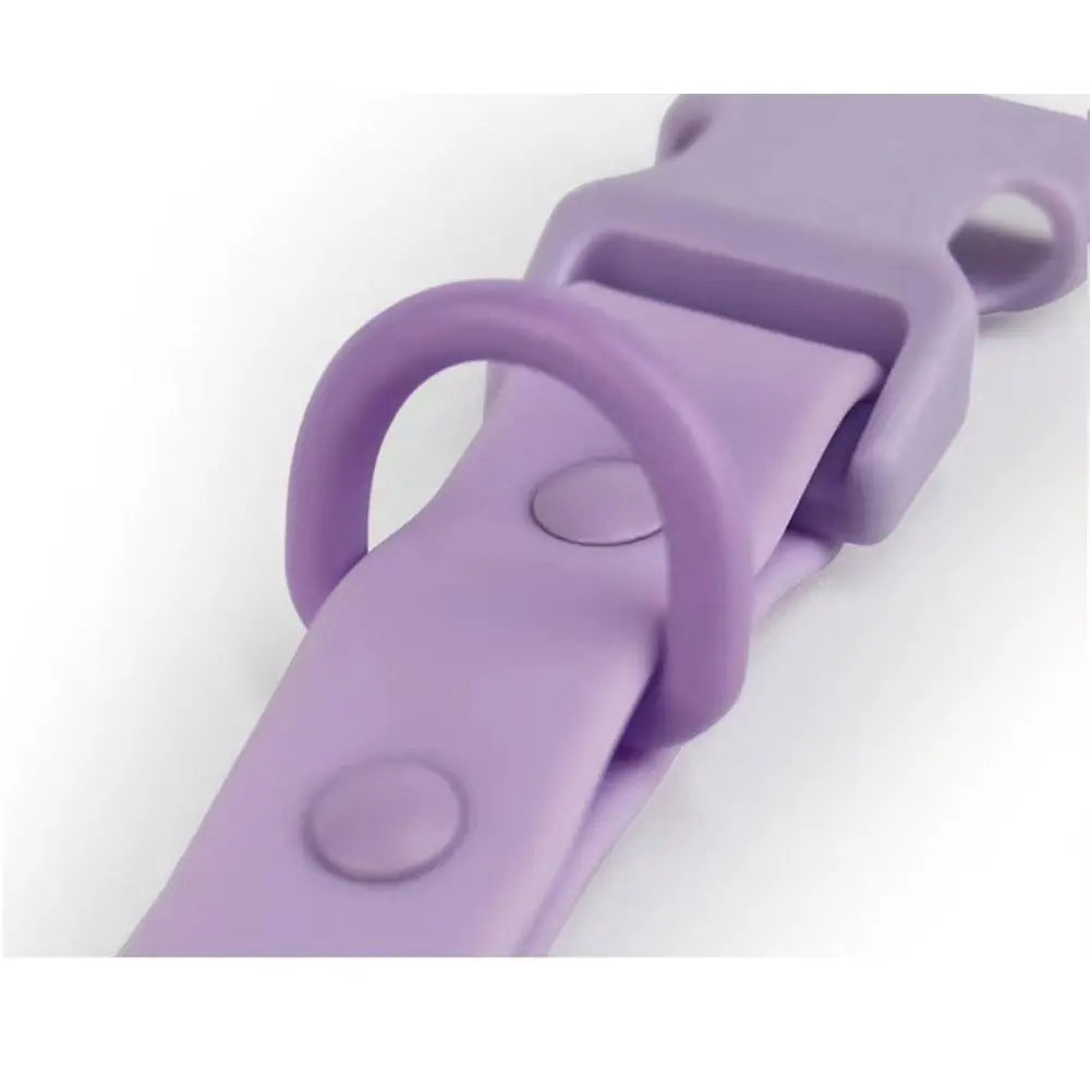 Colourful Waterproof Dog Collar