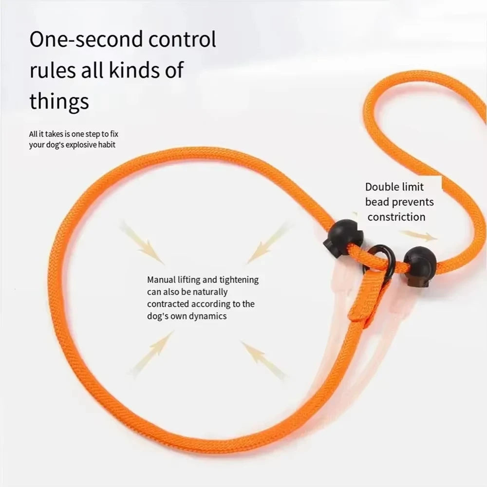 🐕 Professional Training Slip-Leash