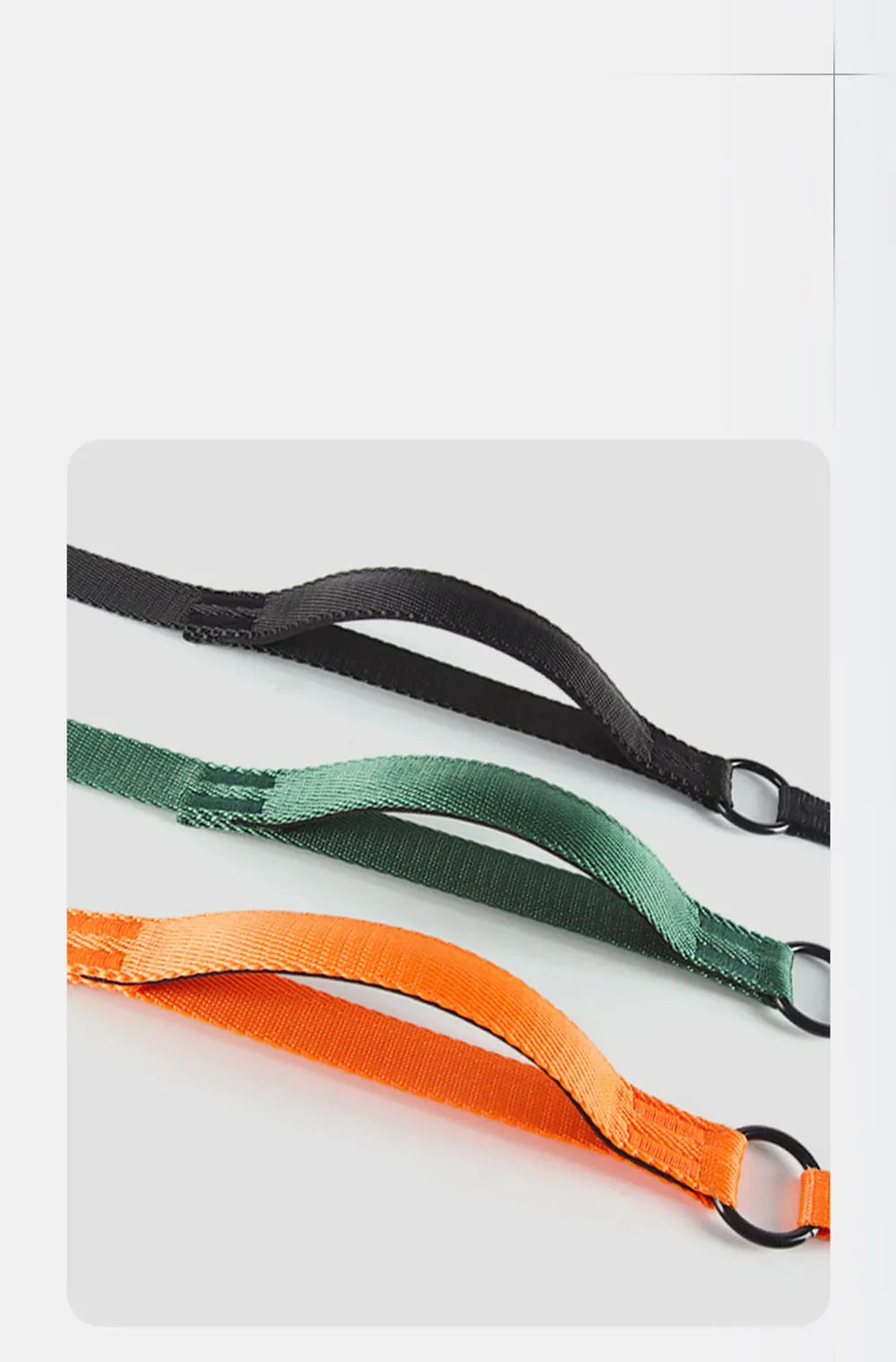 🐕 Professional Training Slip-Leash