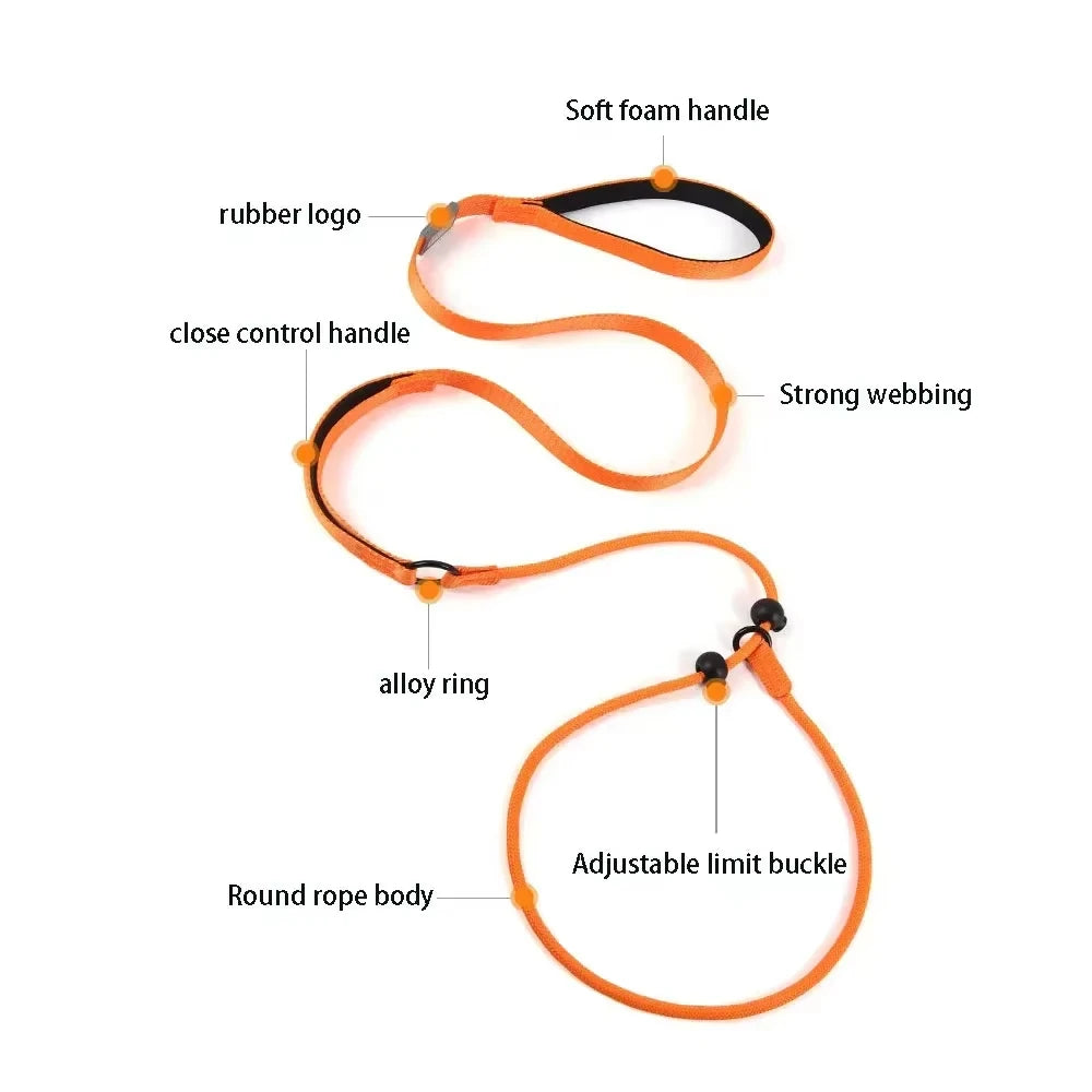🐕 Professional Training Slip-Leash