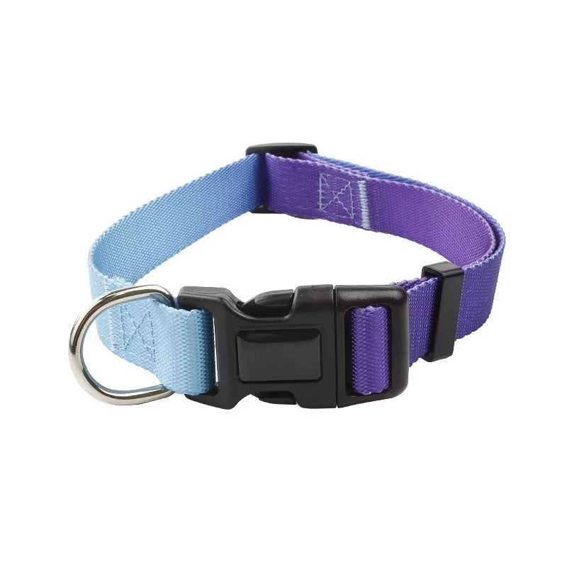 Dog collar with light blue and purple colour gradient on a white background