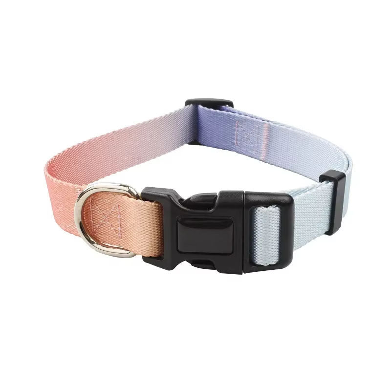 Dog collar with pink and blue gradient and a black buckle on a white background