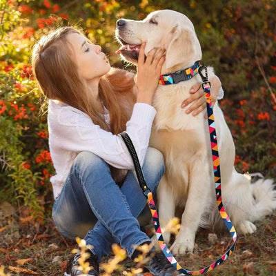 Geometric Pattern Dog Collar