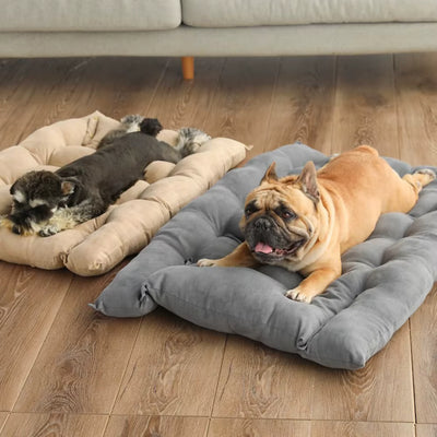 3-in-1 Transformable Dog Bed – Ultimate Comfort That Adapts to Your Pup!