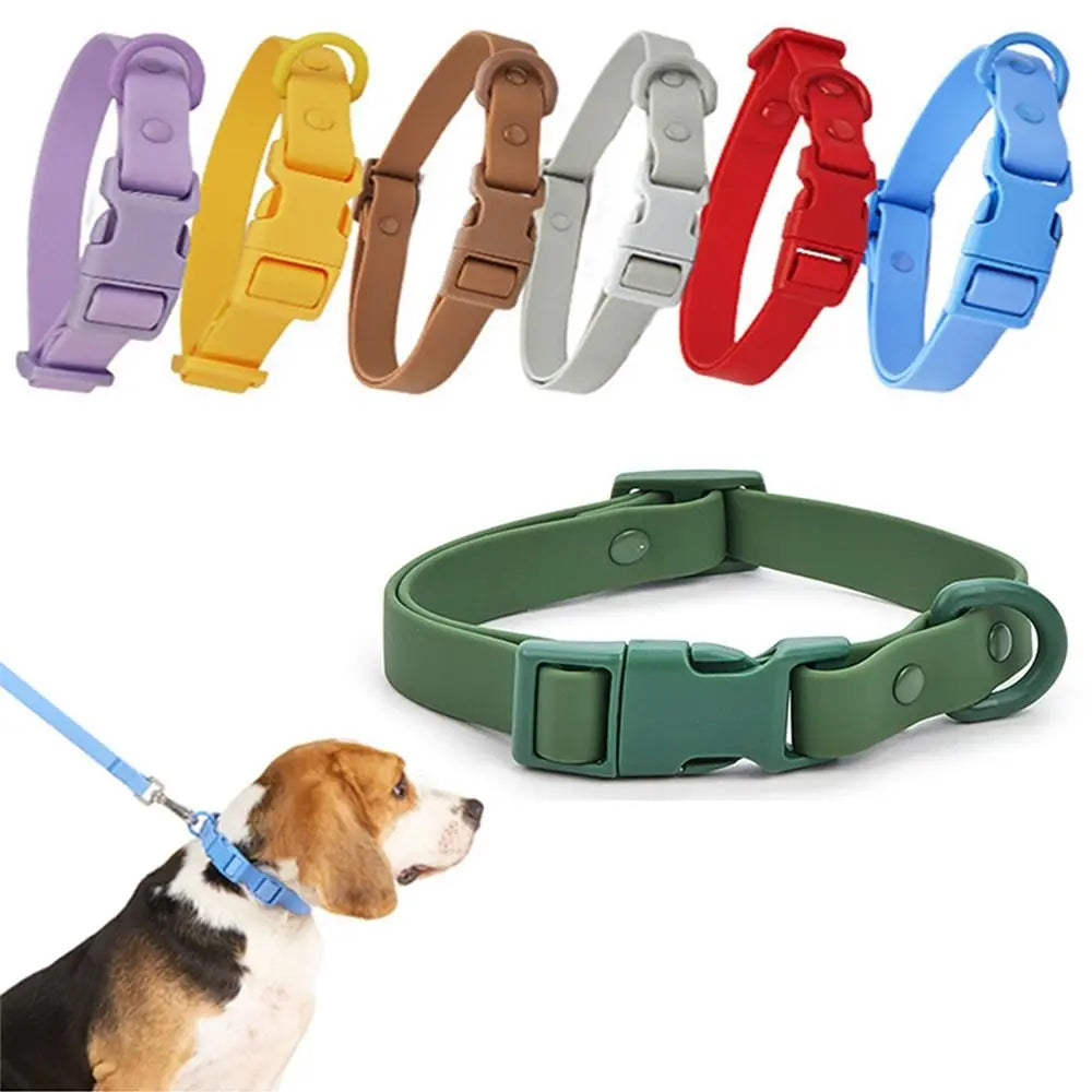 Colourful Waterproof Dog Collar