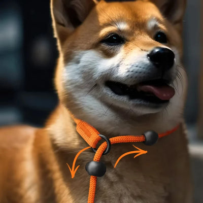 🐕 Professional Training Slip-Leash