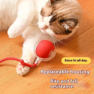 Interactive Motion Pet Ball Toy with Tail