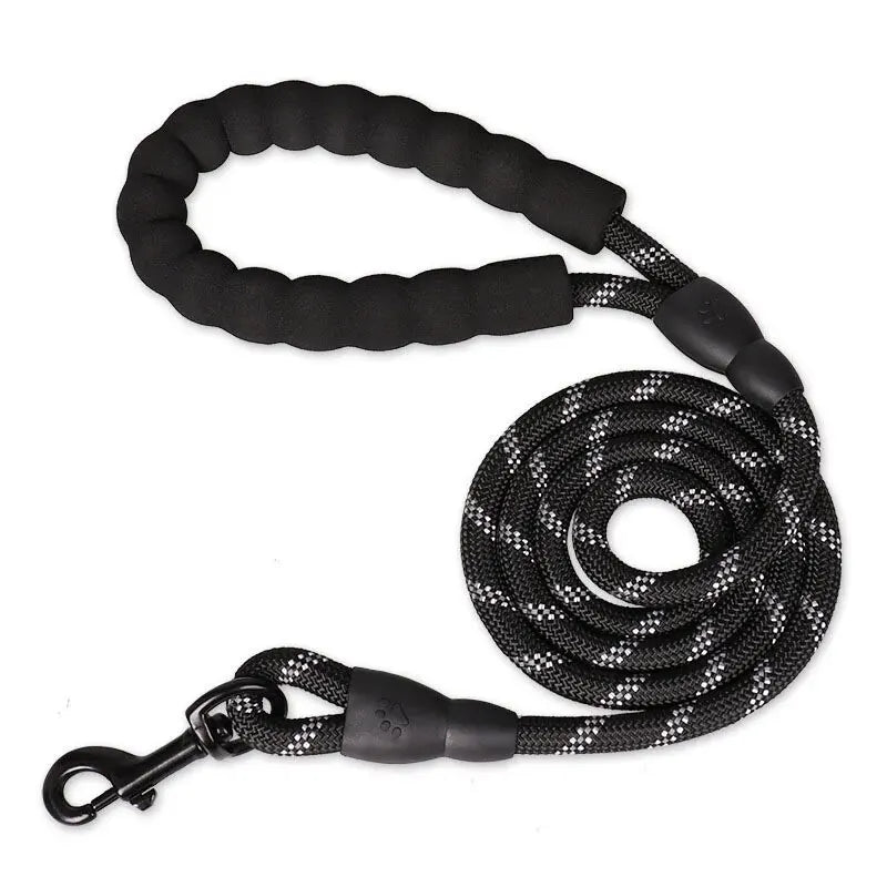 🌈 Ultra-Comfort Padded Handle Dog Leash (1.5m, 2m, 3m)