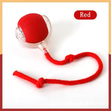 Interactive Motion Pet Ball Toy with Tail