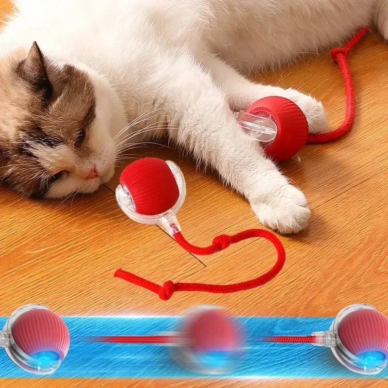 Interactive Motion Pet Ball Toy with Tail