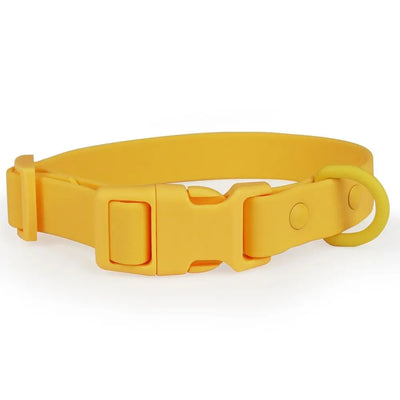 Colourful Waterproof Dog Collar