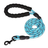 🌈 Ultra-Comfort Padded Handle Dog Leash (1.5m, 2m, 3m)