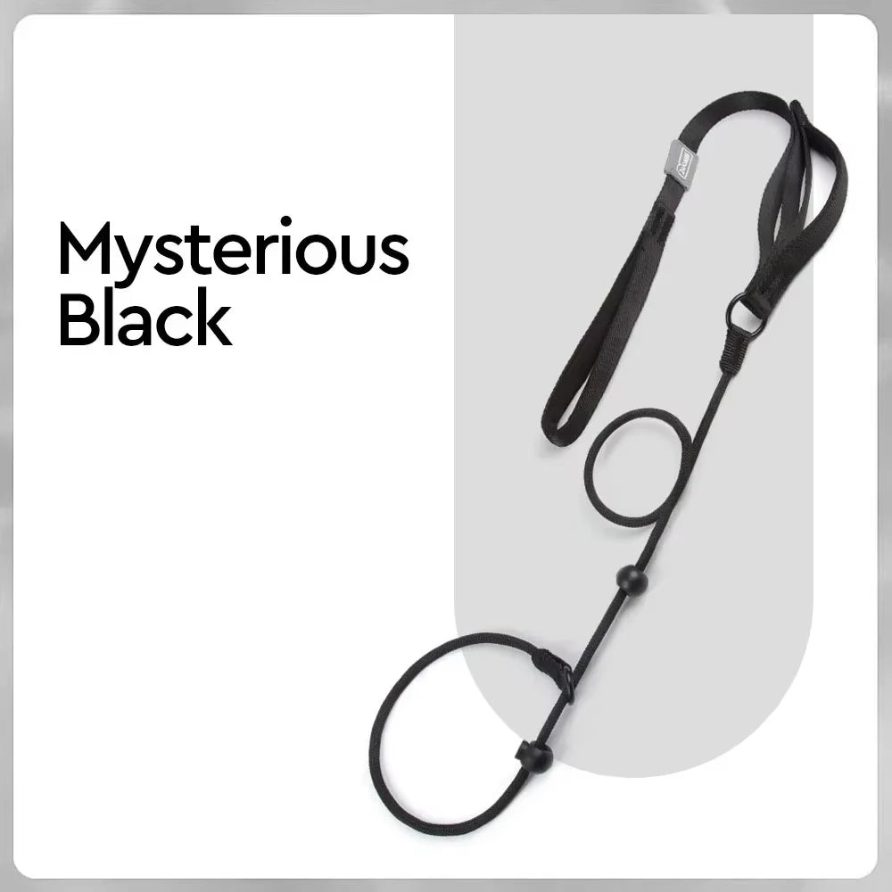 🐕 Professional Training Slip-Leash