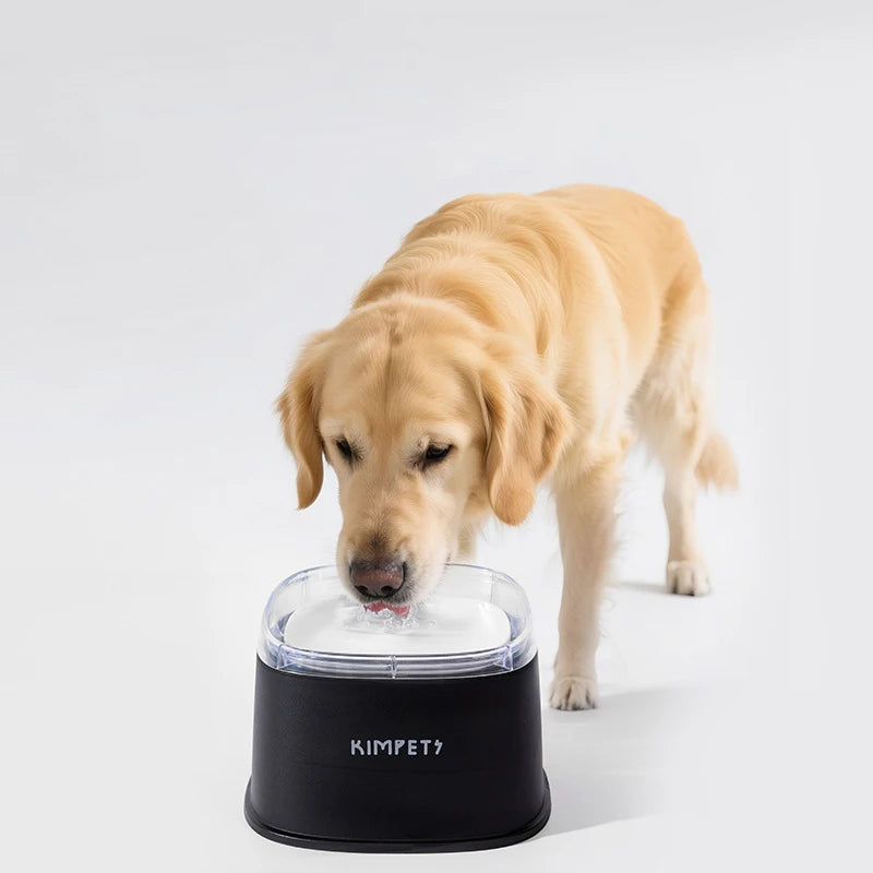 Large Capacity Splash-Proof Water Bowl
