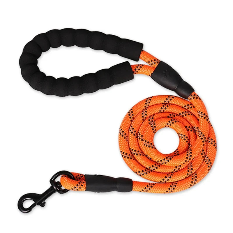 🌈 Ultra-Comfort Padded Handle Dog Leash (1.5m, 2m, 3m)