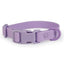 Colourful Waterproof Dog Collar