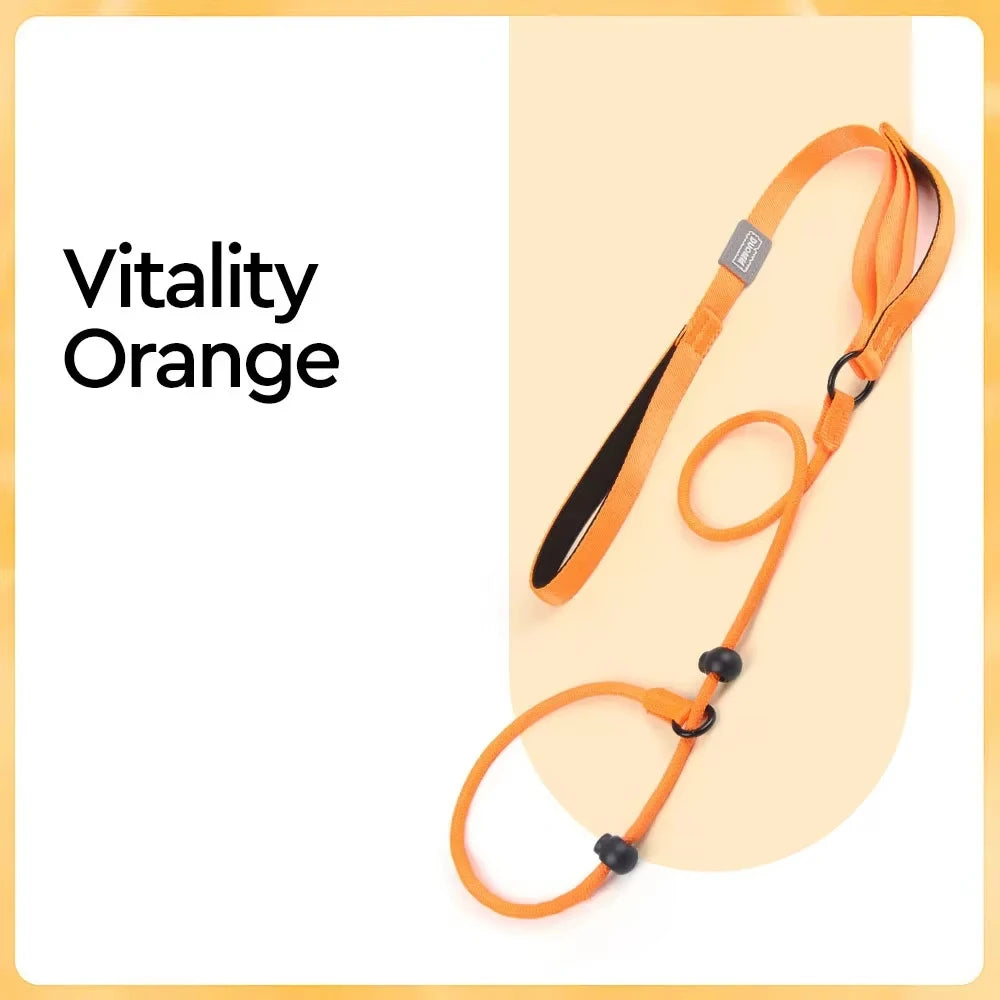 🐕 Professional Training Slip-Leash