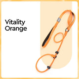 🐕 Professional Training Slip-Leash