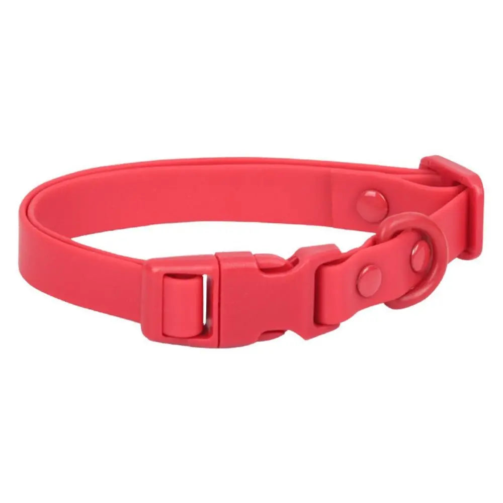 Colourful Waterproof Dog Collar