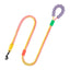 🌈 Ultra Comfort Simple & Cross Body Dog Leash