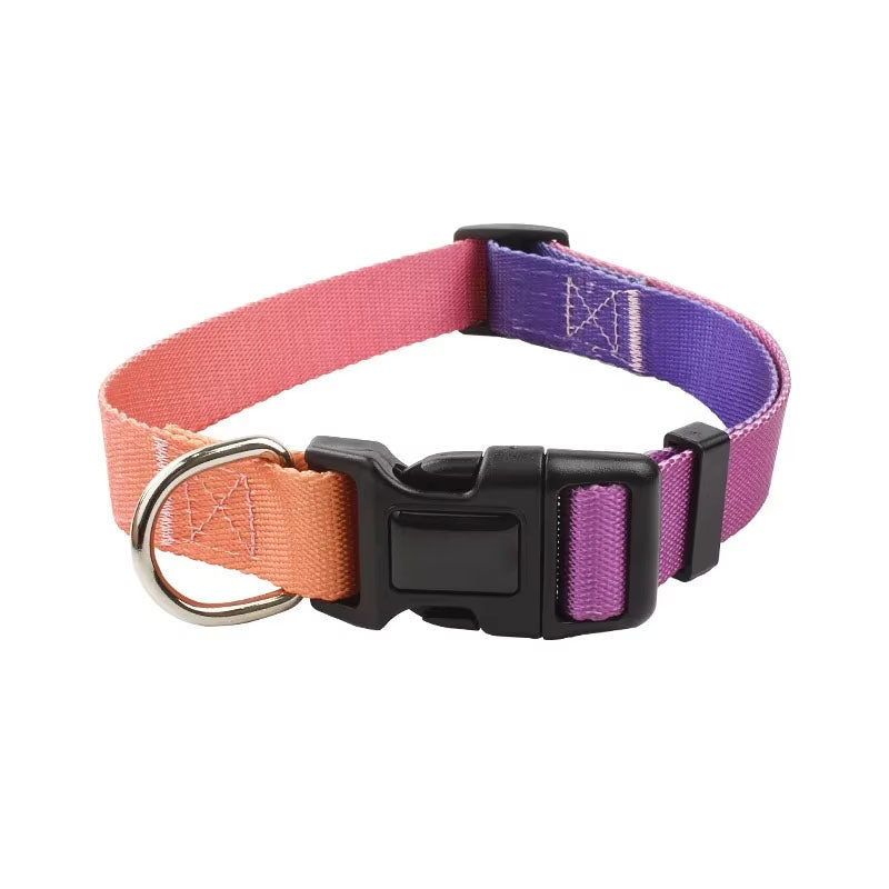 dog collar orange purple gradient with a black buckle with white background
