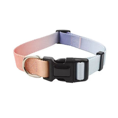 Dog collar with pink and blue gradient and a black buckle on a white background