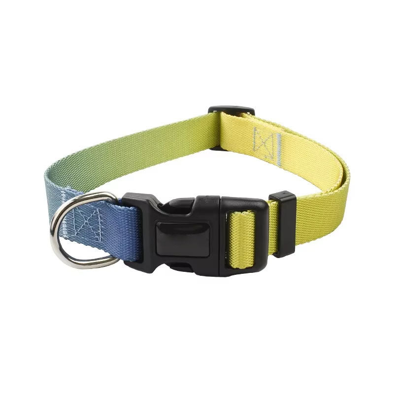 Two-tone green and yellow gradient dog collar with a black buckle on a white background