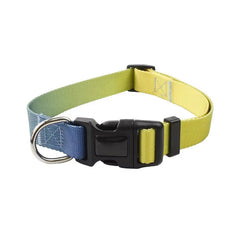 Two-tone green and yellow gradient dog collar with a black buckle on a white background