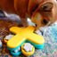 Dog playing with a yellow and blue enrichment puzzle
